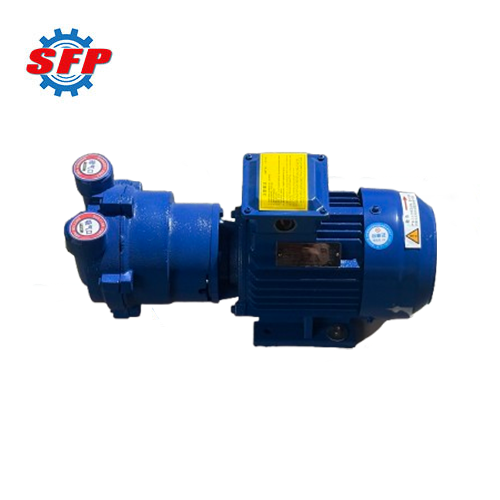 2BV Series Vacuum Water Pump for Sale