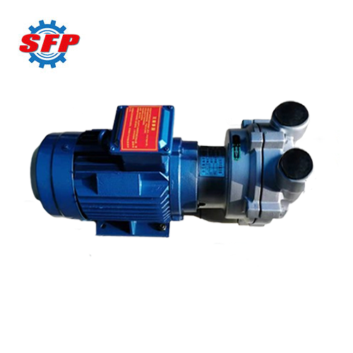2BV Series Sugar Processing Liquid Ring Vacuum Pumps