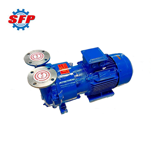 2BV Vacuum Pump