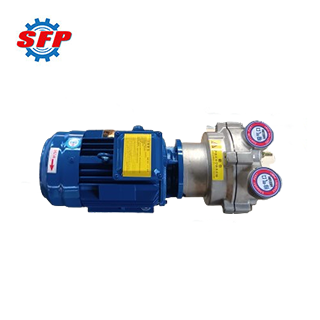 2BV Vacuum Pump for Sale