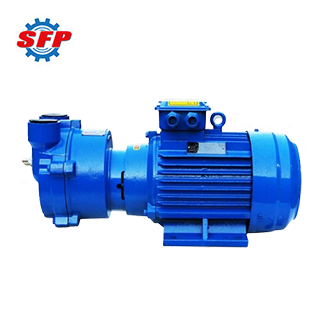 2BV Vacuum Pump