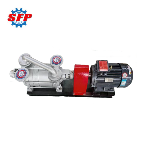 2SK Two Stage Water Ring Vacuum Pump