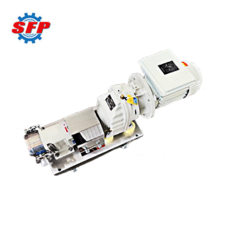 304 Stainless Steel Rotary Lobe Pump