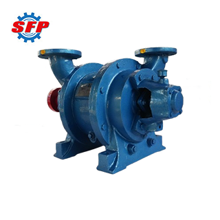 SK Series Electric Vacuum Pump