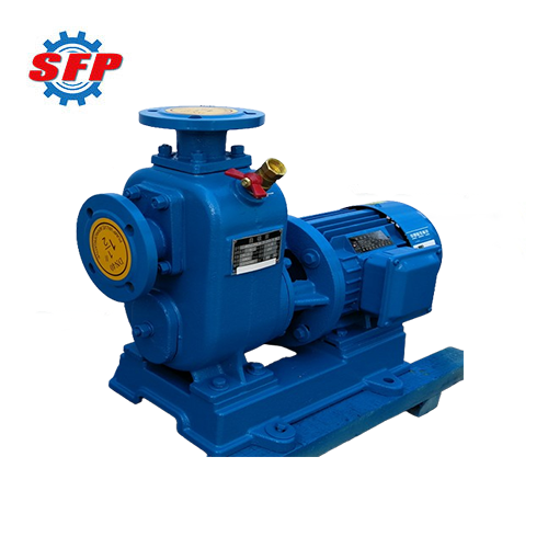 ZX Direct-Connect Centrifugal Pump