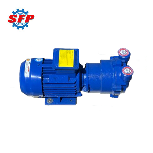 2BV Industrial Vacuum Pump