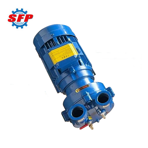 2BV Series Sugar Evaporation Liquid Ring Vacuum Pumps