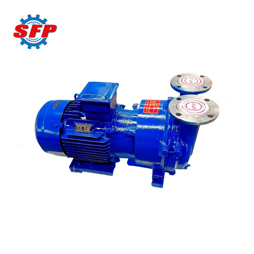 2BV Series Sugar Evaporation Liquid Ring Vacuum Pumps