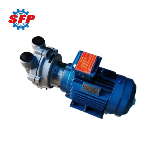 2BV Series Vacuum Pump