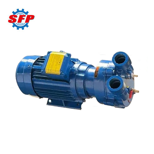 2BV Series Sugar Processing Liquid Ring Vacuum Pumps