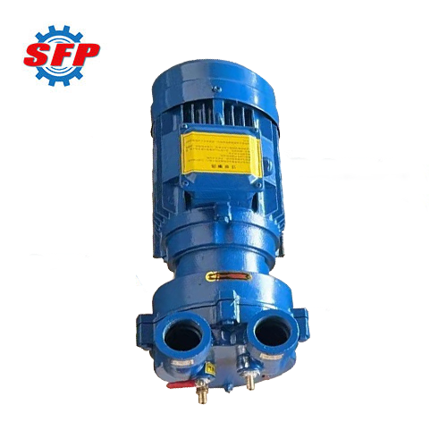 2BV Series Small Vacuum Pump