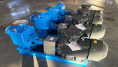 Self Priming Pump for Sale