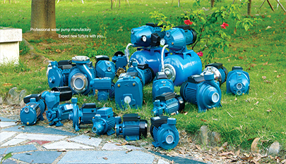 Domestic Water Pump for Sale