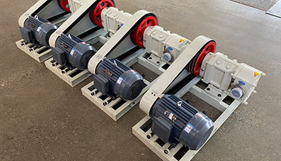 Rotor rotary lobe pump