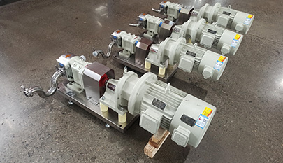 Food grade rotary lobe pump