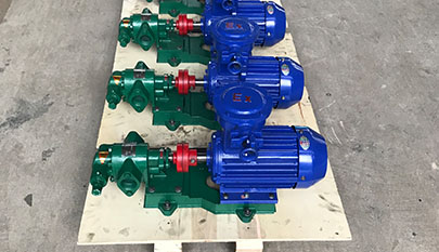 Oil transfer gear pump
