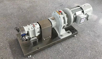 Rotary Lobe Pump