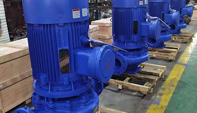 Vertical pipe pump