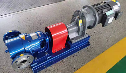 Stainless steel rotor pump