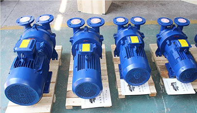 Electric Water Ring Vacuum Pump for Sale