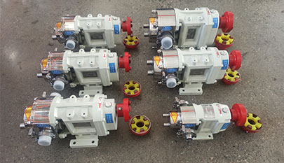 stainless steel rotor pump