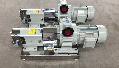 3RP rotary lobe pump