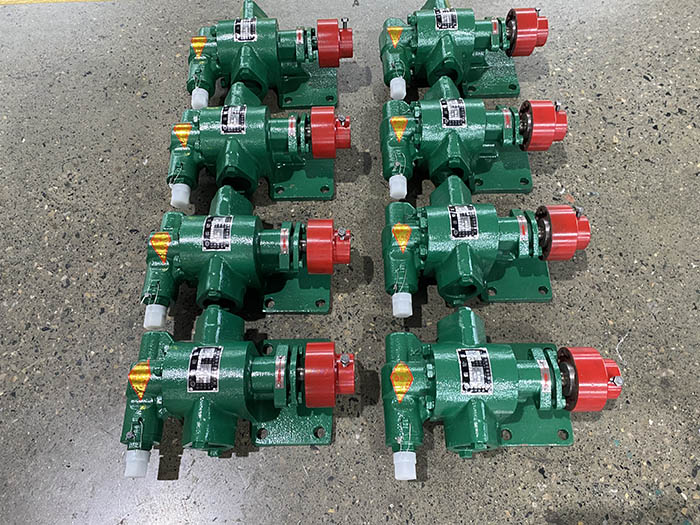 Arc gear pump