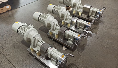 Cam type dual rotor pump for extended life
