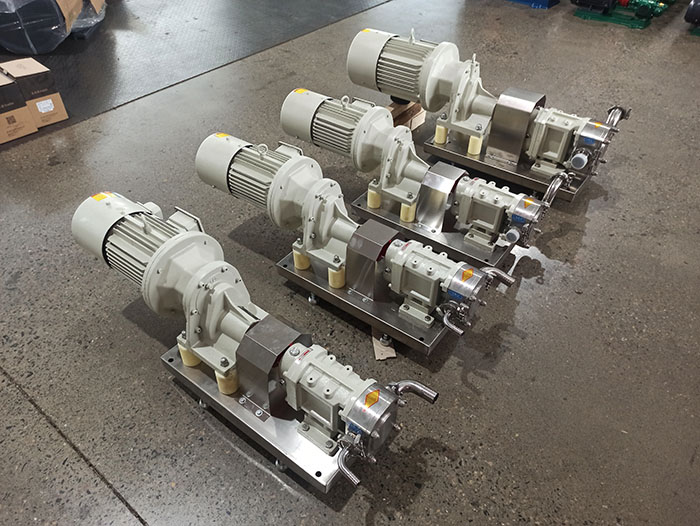 Cam type dual rotor pump for extended life