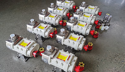 Electronic food Grade Gear Pumps