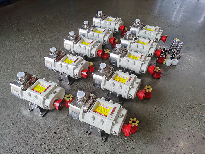 Electronic food Grade Gear Pumps