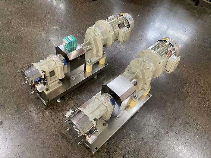 Rotary Transfer Lobe Pump