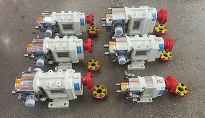 Food grade rotary lobe pumps