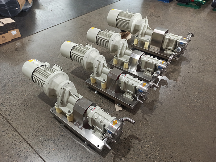 Double-Lobe positive displacement pump