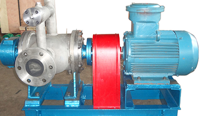 Double Seal SS316 Two Screw Pump