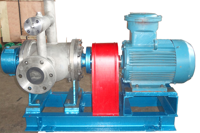 Double Seal SS316 Two Screw Pump