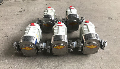 Electric High Viscosity Gear Pump