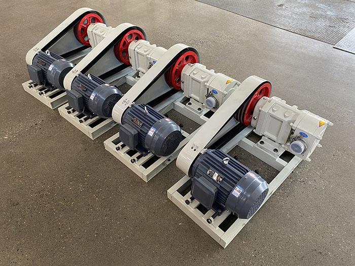 Rotor rotary lobe pump