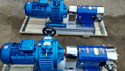 rotary lobe pumps