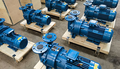 Water Ring Vacuum Pump