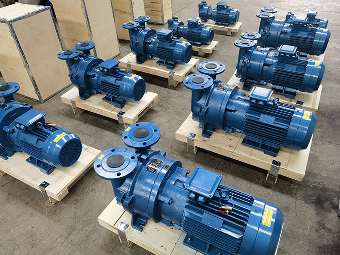 Water Ring Vacuum Pump