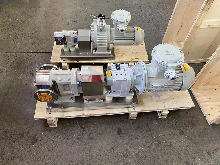 Twin Rotor Rotary Lobe Pump