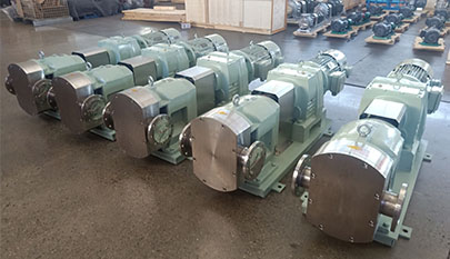 cam rotor pump