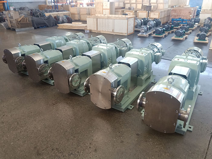 cam rotor pump