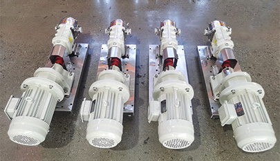 Food grade rotary lobe pump