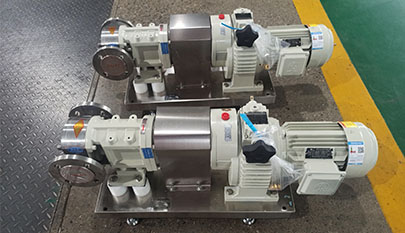 rotary lobe pump