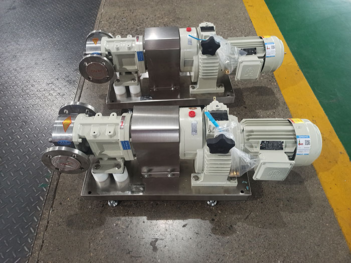 rotary lobe pump