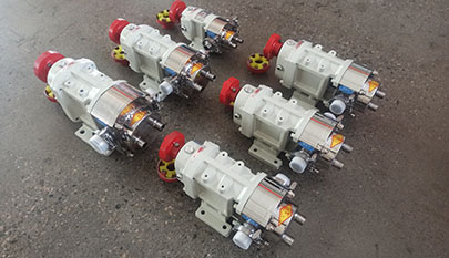 Food grade stainless steel rotary lobe pumps