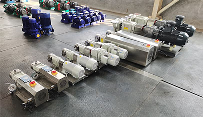 Food grade stainless steel cam rotor pump