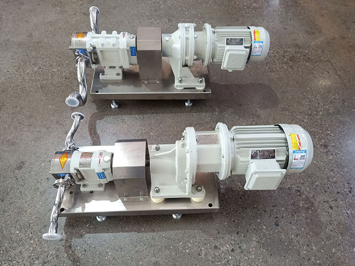 Food rotor pump